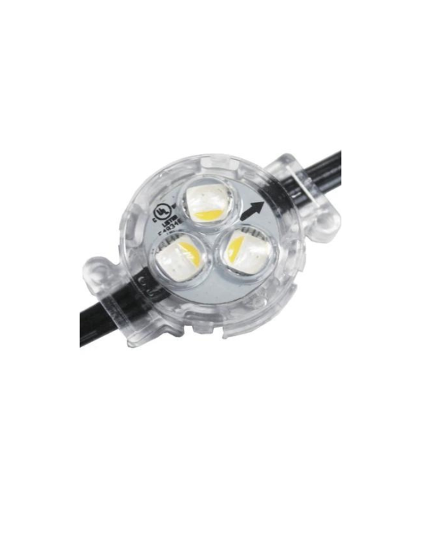 Aion Permanent Lighting