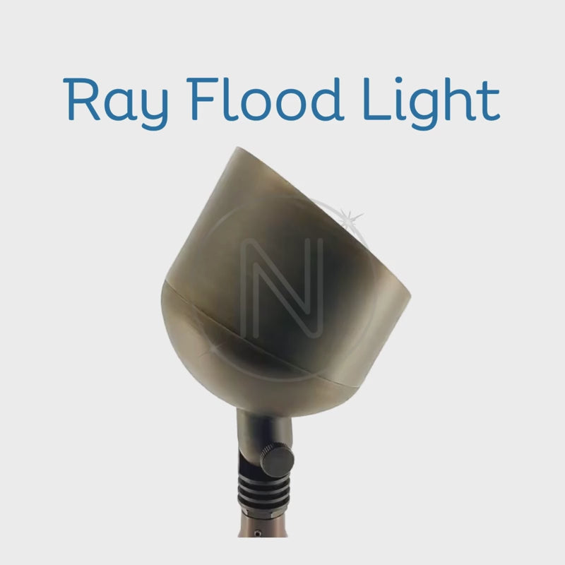 Ray Bullet
